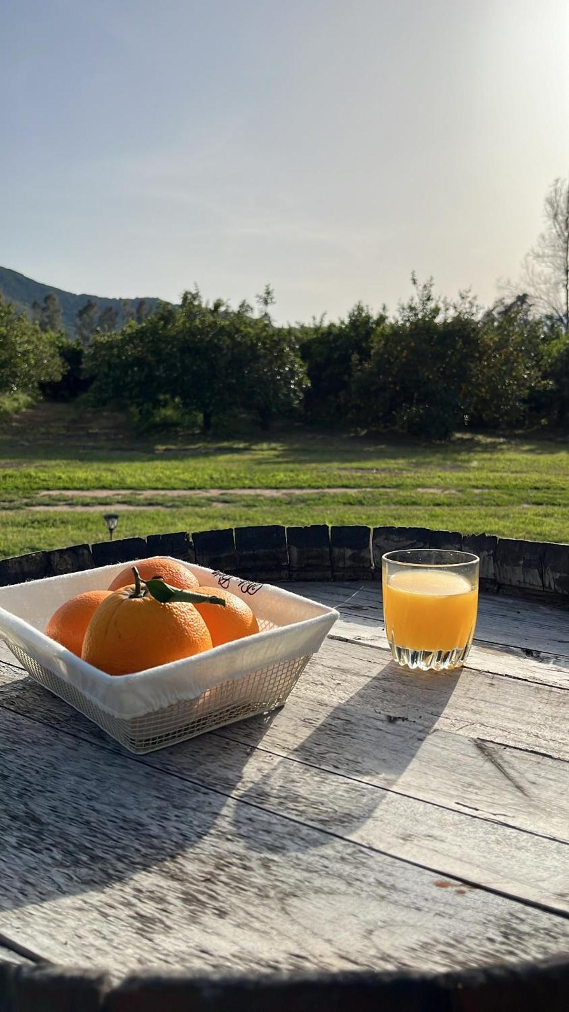 Bidd'E Majori Bed & Breakfast San Priamo Eksteriør bilde