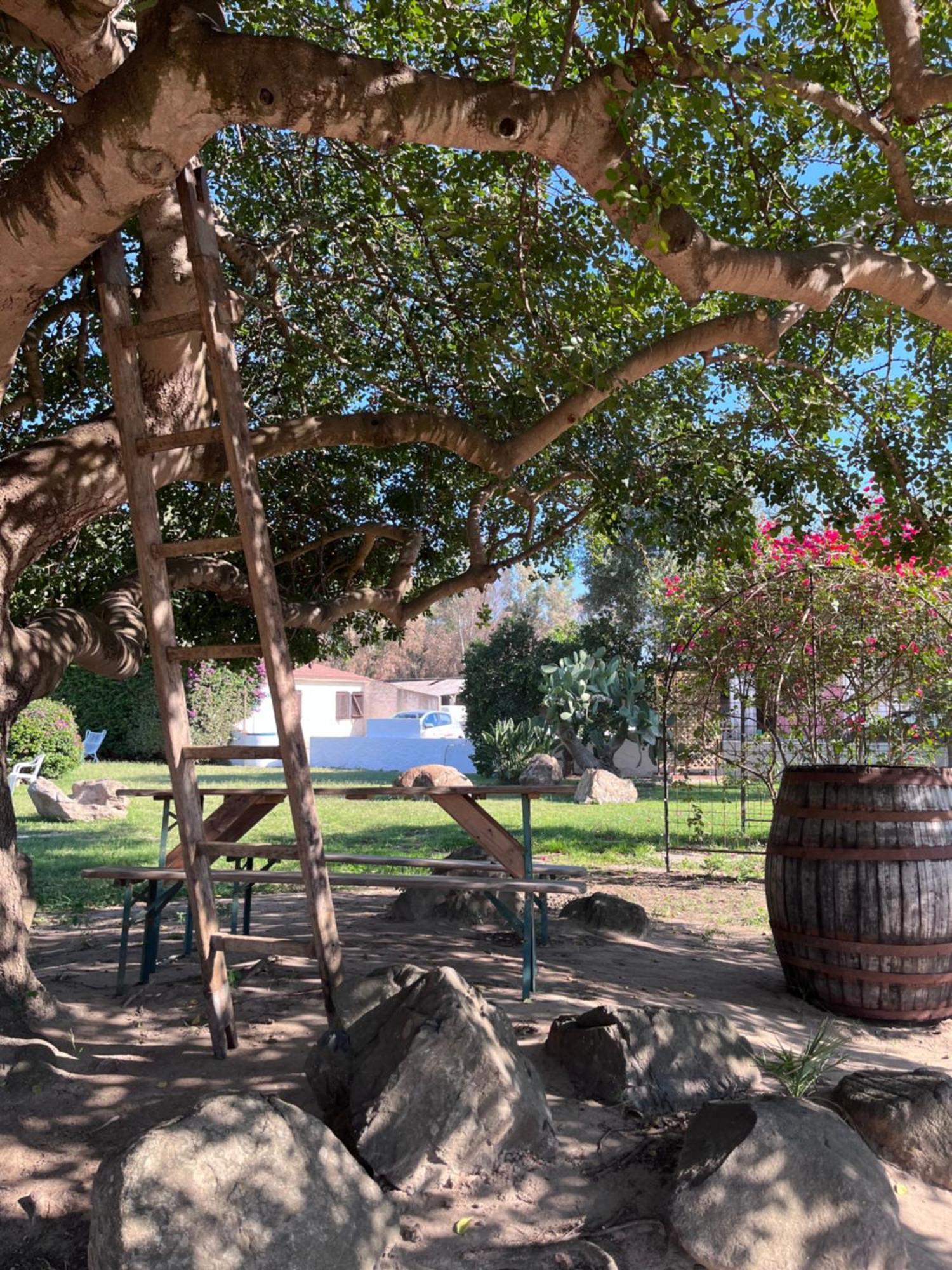 Bidd'E Majori Bed & Breakfast San Priamo Eksteriør bilde