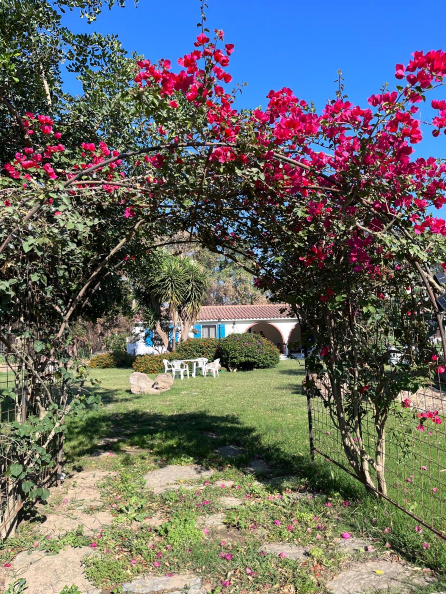 Bidd'E Majori Bed & Breakfast San Priamo Eksteriør bilde